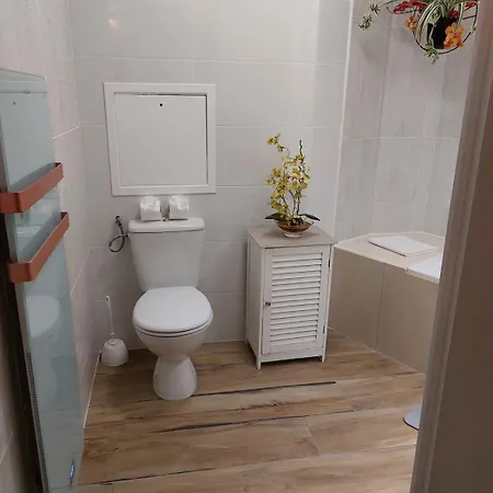 Your Lovely Flat In Disneyland !